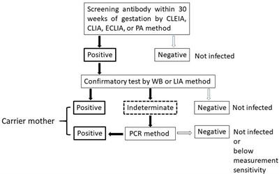 A Nationwide Antenatal Human T-Cell Leukemia Virus Type-1 Antibody Screening in Japan